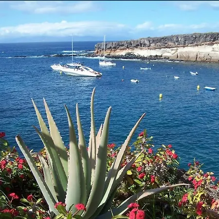 Compostela X Apartament Playa de las Americas (Tenerife)